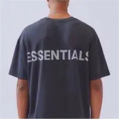 ESSENTIALS REFLECTOR LOGO S/S TEE L
