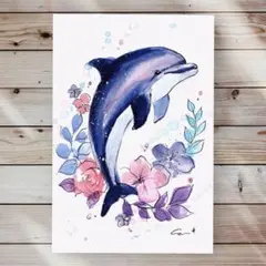 イラスト 原画 ポストカード 絵 【イルカ】163