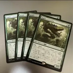 mtg 雑食性ハエトリグサ　x4枚