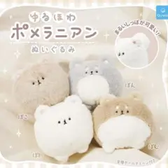 ぬいぐるみ　全4種セット　ゆるほわポメラニアン　ガチャ