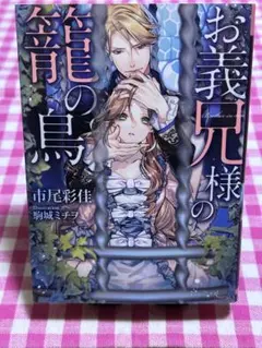 TL小説 No.73 お義兄様の籠の鳥 市尾彩佳 ソーニャ文庫