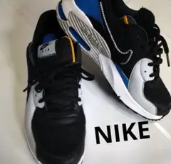 AIR MAX EXCEE/ローカットスニーカー/BLK/DQ3993-002
