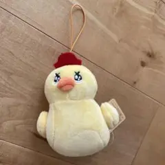 アヒル隊長