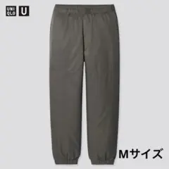 Item thumbnail for item 62d532fe-1dcb-41c6-b28c-02532def52e7