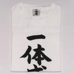 日向坂46 一体感Tシャツ Lサイズ 4期生ライブ 藤嶌果歩