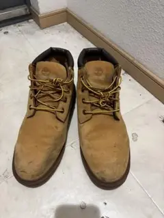 Item thumbnail for item 7829185a-c1c7-44de-bba1-73e8c36c99b6