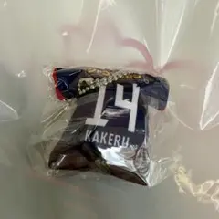 セレッソ大阪 ガチャ クッションキーホルダー　リミテッドユニフォーム 舩木翔
