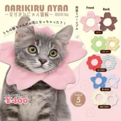 Item thumbnail for item 8ba5a59e-5cc7-469a-8505-47affe83df96