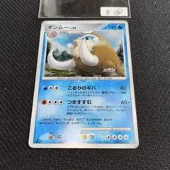 8⑱マンムー