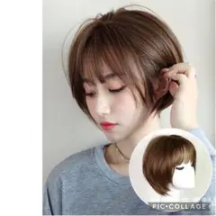 Item thumbnail for item 5a1b09ff-6449-436f-82d2-7c21e4e6e963