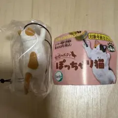 魅惑のボディ　ぽっちゃり猫　ガチャ　チャシロ