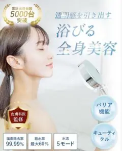 Item thumbnail for item 07000d1d-662b-4de5-804d-330838113217