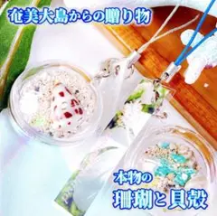 B 蓄光サンゴと貝殻入り　奄美大島の海から贈り物　ボール型のキーホルダー2コ