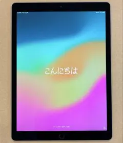 iPad Pro（12.9インチ） Cellular SIM解除済み256GB