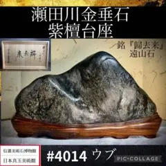 4014 瀬田川金垂石 ウブ 『歸去来』遠山石 紫檀台座 10kg