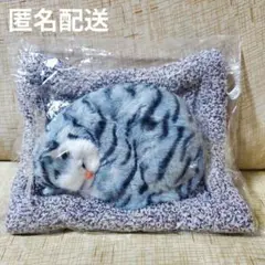 スヤスヤおねむりねこちゃん サバトラ