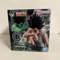 HUNTER×HUNTER一番くじゴン C賞　フィギュア　未開封