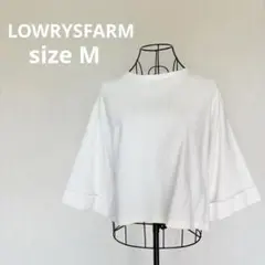 Item thumbnail for item d0523544-72d0-4478-bf53-d8aa455f87a0