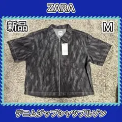 Item thumbnail for item b7b2c5dd-54fb-4d83-90b5-74542bbeaf66