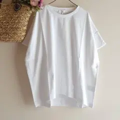 新品　SM2 blue☆オフ／【USAコットン】フレンチスリーブTシャツ