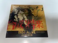 GOATBED　INST ALIVE THUNDER RECORD