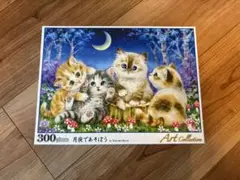 【中古】300ピース ジグソーパズル 月夜であそぼう
