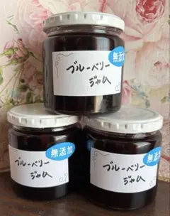のりりんブルーベリージャム250ｇ3個セットです。