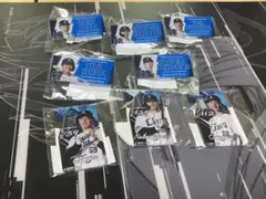 ライオンズガチャ　まとめ売り