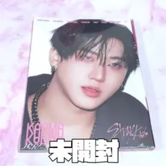 Straykids スキズ チャンビン KARMA アコーディオン 新品未開封
