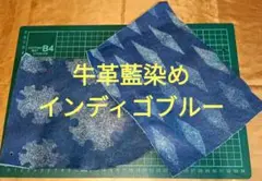 Item thumbnail for item b9a5b7f7-3cea-4824-b3a0-e3985158369e