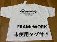 haruxFRAMeWORK J5MDTEE 未使用タグ付き