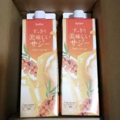 すっきり美味しいサジー 1000ml2本セット
