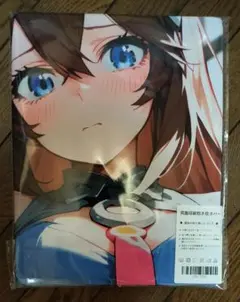 ミホノブルボン ( ウマ娘 ) シークレット 抱き枕カバー 98×48cm