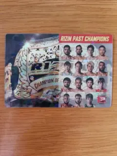 RIZIN ポテトスティック メタリックプラカード