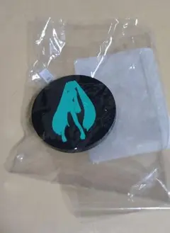 ミク　クロックス　初音ミク