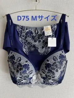 D75 M ウィング★ワコール レシアージュ ブラ&ショーツ