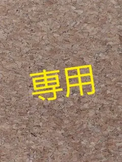 専用出品☆