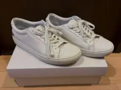 ラコステ　本革スニーカー　25.0cm