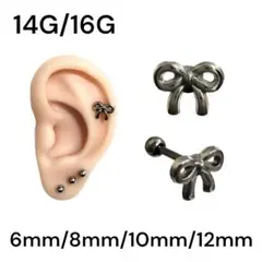 Item thumbnail for item e6f9dbb9-4969-4cc0-8e5b-4e327ab0596e