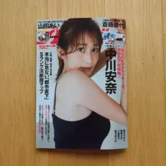 週刊プレイボーイ No.36 中川安奈