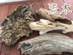 流木