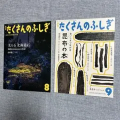 【新品】たくさんのふしぎ 北海道石 昆布