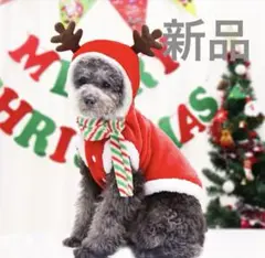 Item thumbnail for item 50638608-2dbf-45b5-83b8-7295552b78a3