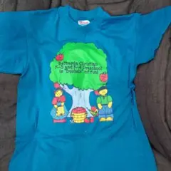 HanesのTシャツ　 M