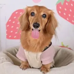 確認用