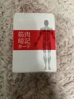 筋肉暗記カード