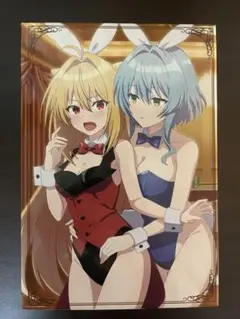 ひきこまり吸血姫の悶々 Blu-ray 全巻 ソフマップ全巻収納BOX付き