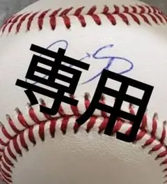 専用