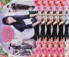 ドラマ版　小公女セイラ　ねずみ　ぬいぐるみ　2009年　【レア】 2025年最新】小公女セイラ ドラマの人気アイテム - メルカリ