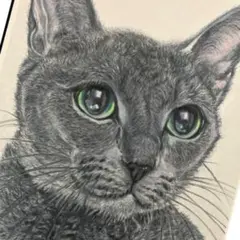 ロシアンブルー　手描き絵画 大き目のA4サイズ 原画